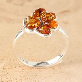 Sterling Silver 925 Ring Puppy Paw Amber Jewellery