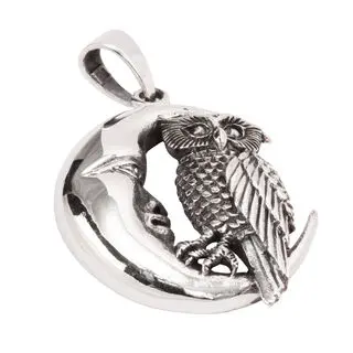 Owl in Moon 925 Sterling Silver Pendant