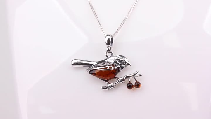 SLIACETE Sterling Silver Robin Bird Pendant Necklace Cute Bird Necklace  Animal Jewelry Gifts for Women Teen Girls : Amazon.ca: Clothing, Shoes &  Accessories